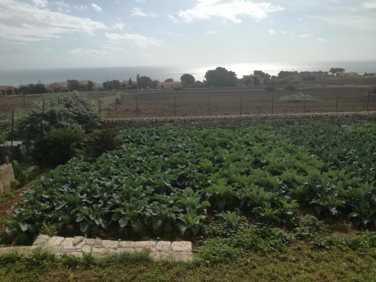 Villa Bove Marina di Ragusa Dış mekan fotoğraf